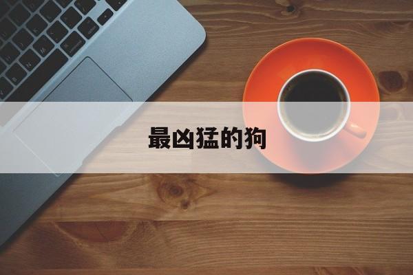最凶猛的狗(最凶猛的狗是哪一种)