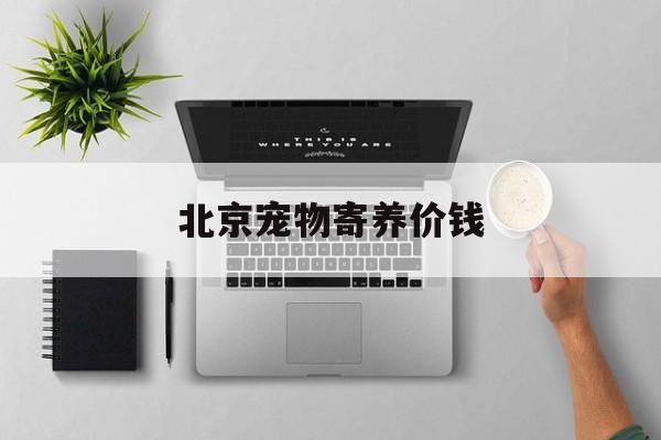 北京宠物寄养价钱(北京宠物寄养多少一天)