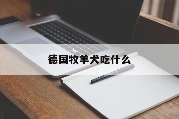 德国牧羊犬吃什么(德国牧羊犬吃什么最好)