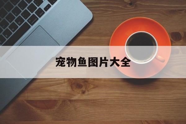 宠物鱼图片大全(宠物鱼的图片)